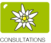 *(title.index.consultation)*